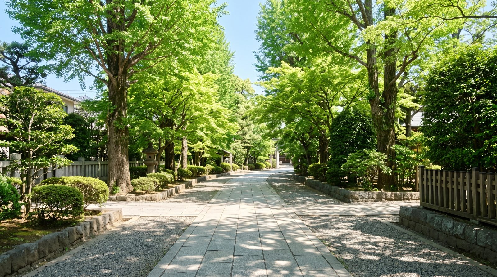 晴れた日の、木立に囲まれた境内の石畳